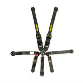 Schroth SFI 16.6 Hybrid II Harness